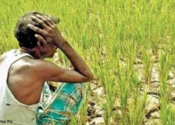 सीएम के निर्देश पर जिलाधिकारियों ने किया फसलों का सर्वे