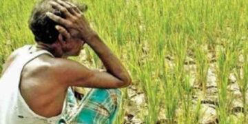 सीएम के निर्देश पर जिलाधिकारियों ने किया फसलों का सर्वे