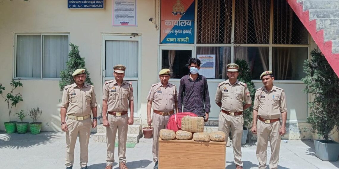 नोएडा पुलिस ने किया अवैध गांजा तस्कर गिरफ्तार, 10 किलो अवैध गांजा बरामद