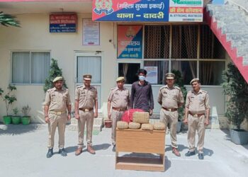 नोएडा पुलिस ने किया अवैध गांजा तस्कर गिरफ्तार, 10 किलो अवैध गांजा बरामद