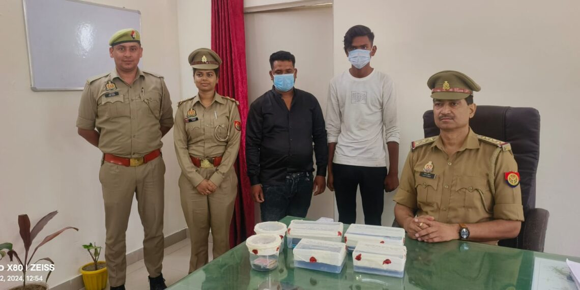 राह चलते लोगों से फोन लूटने वाले दो लूटेरे गिरफ्तार, लूट के 13 मोबाईल बरामद