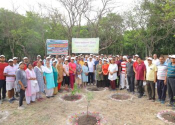 एनटीपीसी दादरी में विश्व पर्यावरण दिवस 2024 पर वृहद वृक्षारोपण कार्यक्रम का हुआ आयोजन