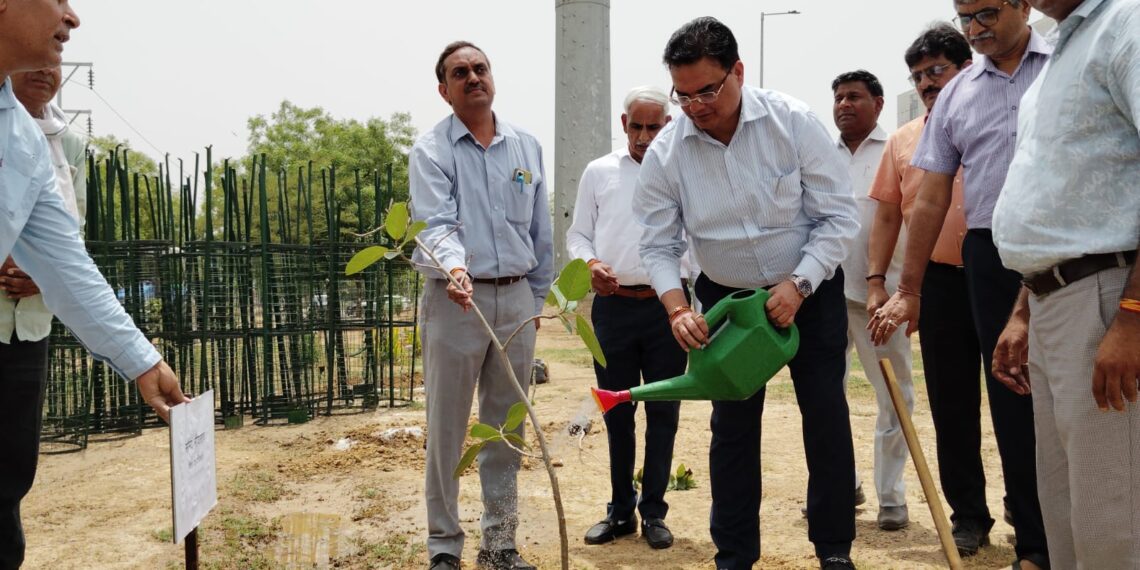 विश्व पर्यावरण दिवस पर प्राधिकरण अधिकारियों ने लगाए पौधे