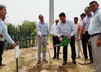 विश्व पर्यावरण दिवस पर प्राधिकरण अधिकारियों ने लगाए पौधे