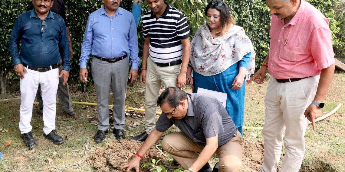 शारदा विश्वविद्यालय में पौधारोपण अभियान के तहत 500 पौधे लगाए