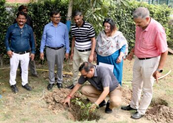 शारदा विश्वविद्यालय में पौधारोपण अभियान के तहत 500 पौधे लगाए