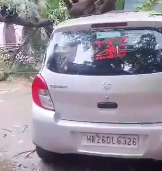 तेज मूसलधार बारिश के कारण विशालकाय पेड़ टूट कर गाड़ी पर गिरा,गाड़ी हुई क्षतिग्रस्त
