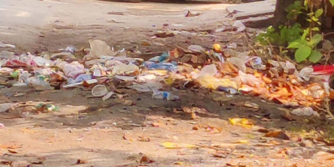 दीपावली सफाई के त्योहार पर सेक्टर डेल्टा टू व शहर में गंदगी का अंबार