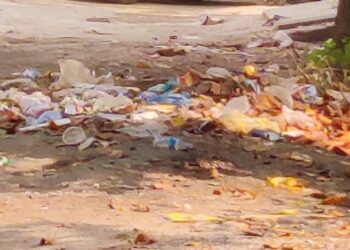 दीपावली सफाई के त्योहार पर सेक्टर डेल्टा टू व शहर में गंदगी का अंबार