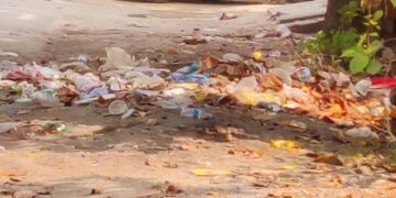 दीपावली सफाई के त्योहार पर सेक्टर डेल्टा टू व शहर में गंदगी का अंबार