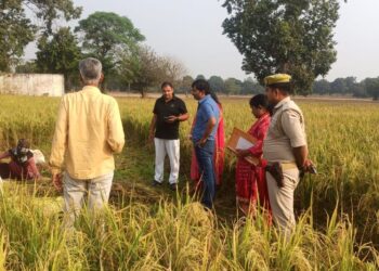 अपर जिलाधिकारी प्रशासन ने ग्राम बांजरपुर तहसील सदर में धान की फसल की क्रॉप कटिंग का किया स्थलीय निरीक्षण