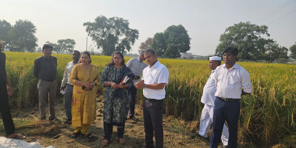जिलाधिकारी ने ग्राम चिरसी तहसील सदर में धान की फसल की क्रॉप कटिंग का स्थलीय निरीक्षण