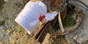 अवैध भूजल दोहन पर जल विभाग के अधिकारियों ने अवैध बोरवेल किया सील