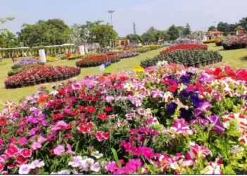 ग्रेटर नोएडा का सिटी पार्क में आगामी 21, 22 व 23 फरवरी को पुष्पोत्सव का आयोजन होगा
