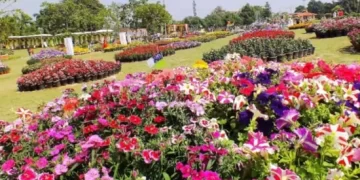 ग्रेटर नोएडा का सिटी पार्क में आगामी 21, 22 व 23 फरवरी को पुष्पोत्सव का आयोजन होगा