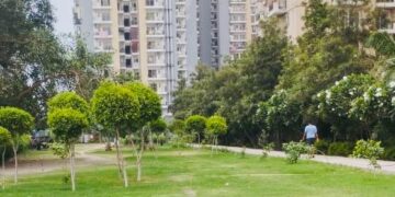 ग्रेनो वेस्ट के सेक्टर 16बी में बनेगा ‘सरस्वती गार्डन’