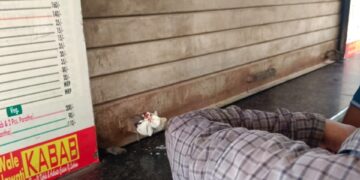 ग्रेटर नोएडा प्राधिकरण ने की कार्यवाही : अजनारा होम्स में चार अवैध क्योस्क सील, 9 रेहड़ी-पटरी जब्त