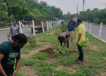 उद्यान विभाग ने सूखे पौधे हटाए, नए पौधे लगाए