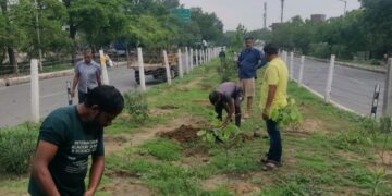 उद्यान विभाग ने सूखे पौधे हटाए, नए पौधे लगाए