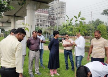 ग्रेटर नोएडा प्राधिकरण ने सेक्टर 105 मीटर रोड पर किए पौधरोपण