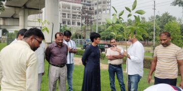 ग्रेटर नोएडा प्राधिकरण ने सेक्टर 105 मीटर रोड पर किए पौधरोपण