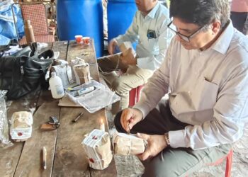 जनपद फ़ूड विभाग विभाग एक्शन में, खाद्य सुरक्षा अधिकारियों ने अभियान चलाकर विभिन्न प्रतिष्ठानों से 08 खाद्य पदार्थों के नमूने किए संग्रहित
