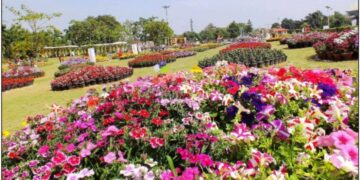 ग्रेटर नोएडा में आयोजित पुष्प प्रदर्शनी में सेंट्रल वर्ज, ग्रीन बेल्ट व गोलचक्करों की भी होगी सहभागिता