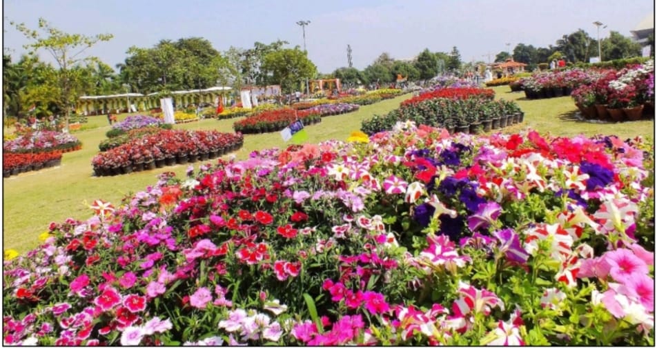 ग्रेटर नोएडा में आयोजित पुष्प प्रदर्शनी में सेंट्रल वर्ज, ग्रीन बेल्ट व गोलचक्करों की भी होगी सहभागिता
