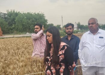 तेज हवा, बारिश व ओलावृष्टि से फसल क्षति के आकलन को लेकर जिलाधिकारी ने सर्वे टीम की गठित