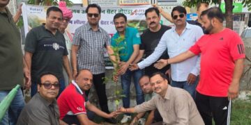 रोटरी क्लब ग्रीन ग्रेनो द्वारा रामलीला मैदान में लगाये गए फलदार पौधे